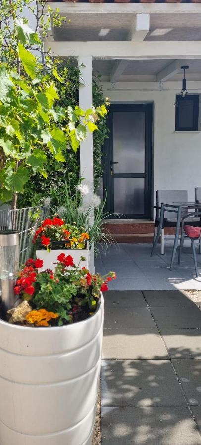 Apartman Stura 1 扎达尔 外观 照片